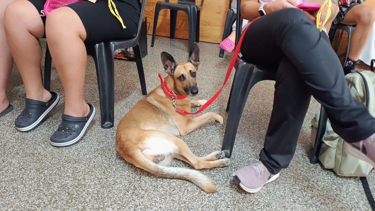 ab79631c-df0c-4068-8822-e06a92e976e9