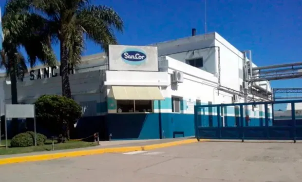 WhatsApp Image 2024-06-24 at 07.32.29