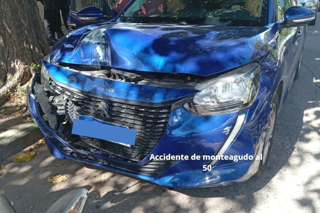 foto para portal