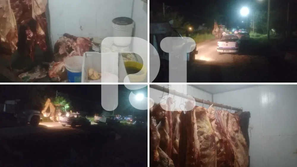 el Portal más confiable