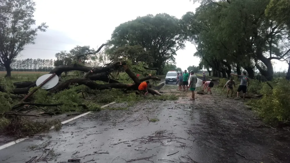 WhatsApp Image 2025-01-26 at 6.58.56 PM