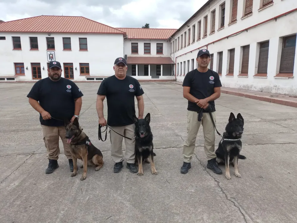 WhatsApp Image 2024-12-10 at 11.59.30 AM