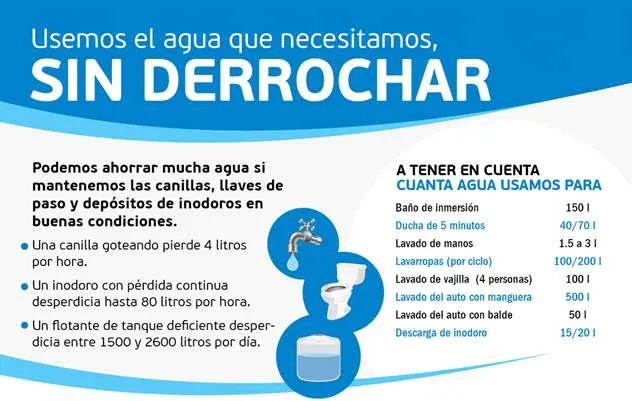 WhatsApp Image 2024-10-14 at 12.16.19