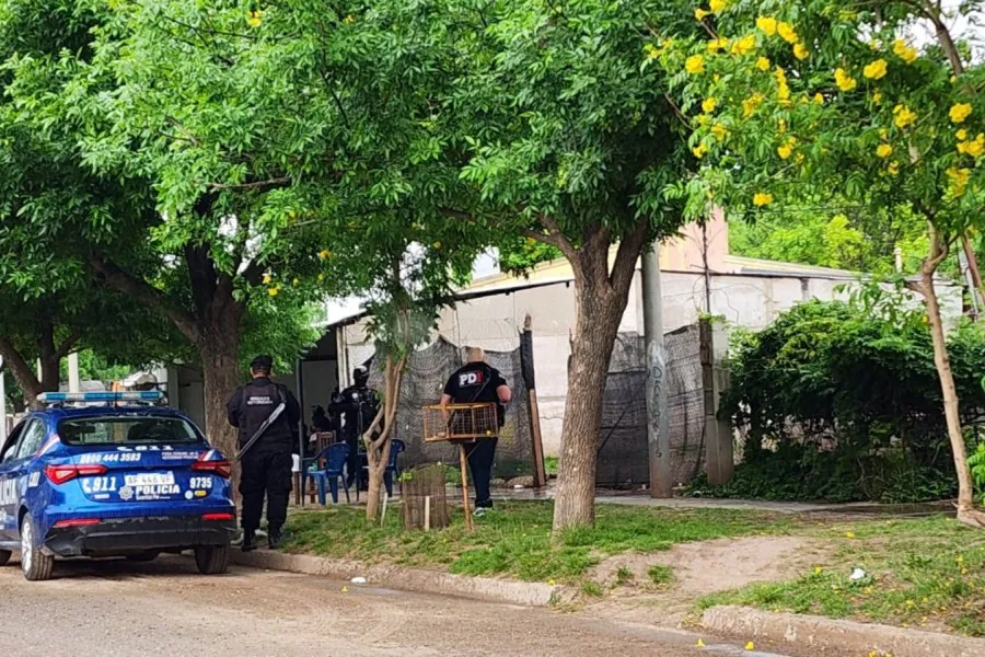 Imagen de WhatsApp 2025-11-01 a las 10.55.43_5b0e0111