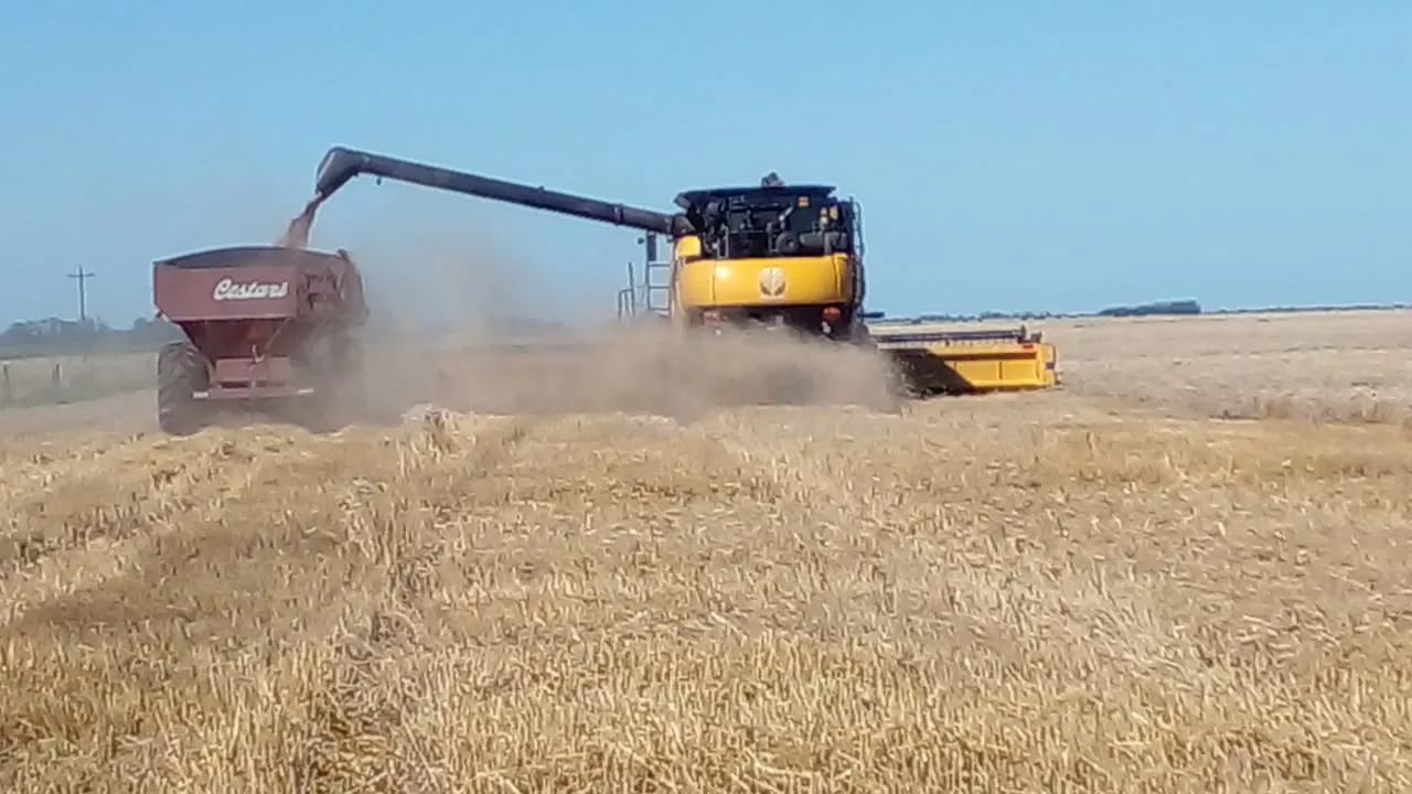 WhatsApp Image 2025-12-27 at 9.54.20 AM