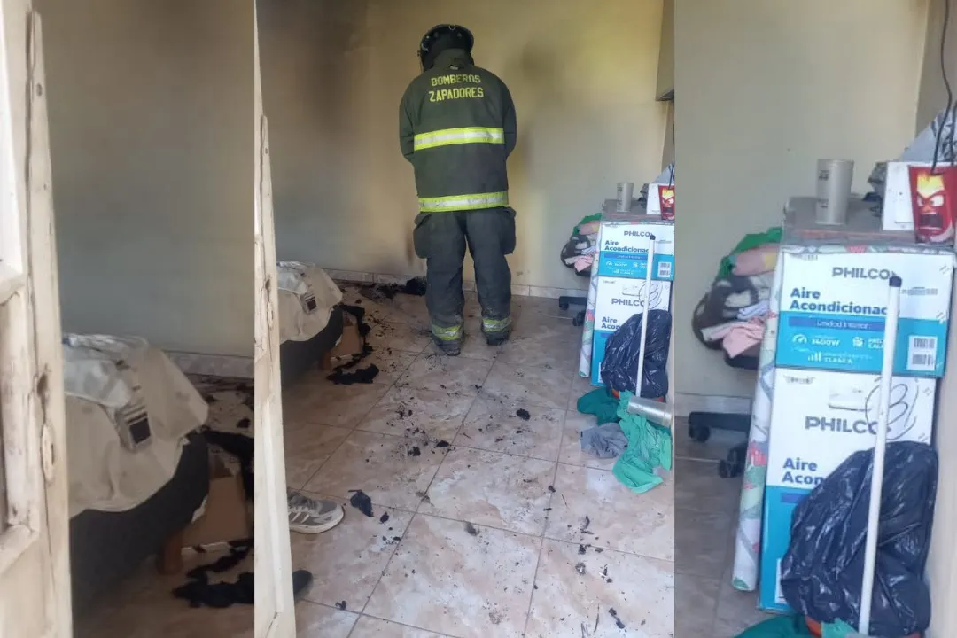 WhatsApp Image 2026-01-11 at 11.12.04 AM