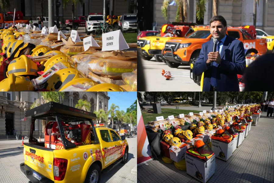 WhatsApp Image 2026-01-21 at 11.56.43 AM