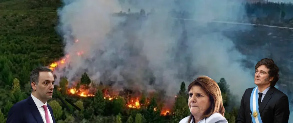 WhatsApp Image 2025-02-16 at 6.46.34 PM (1)