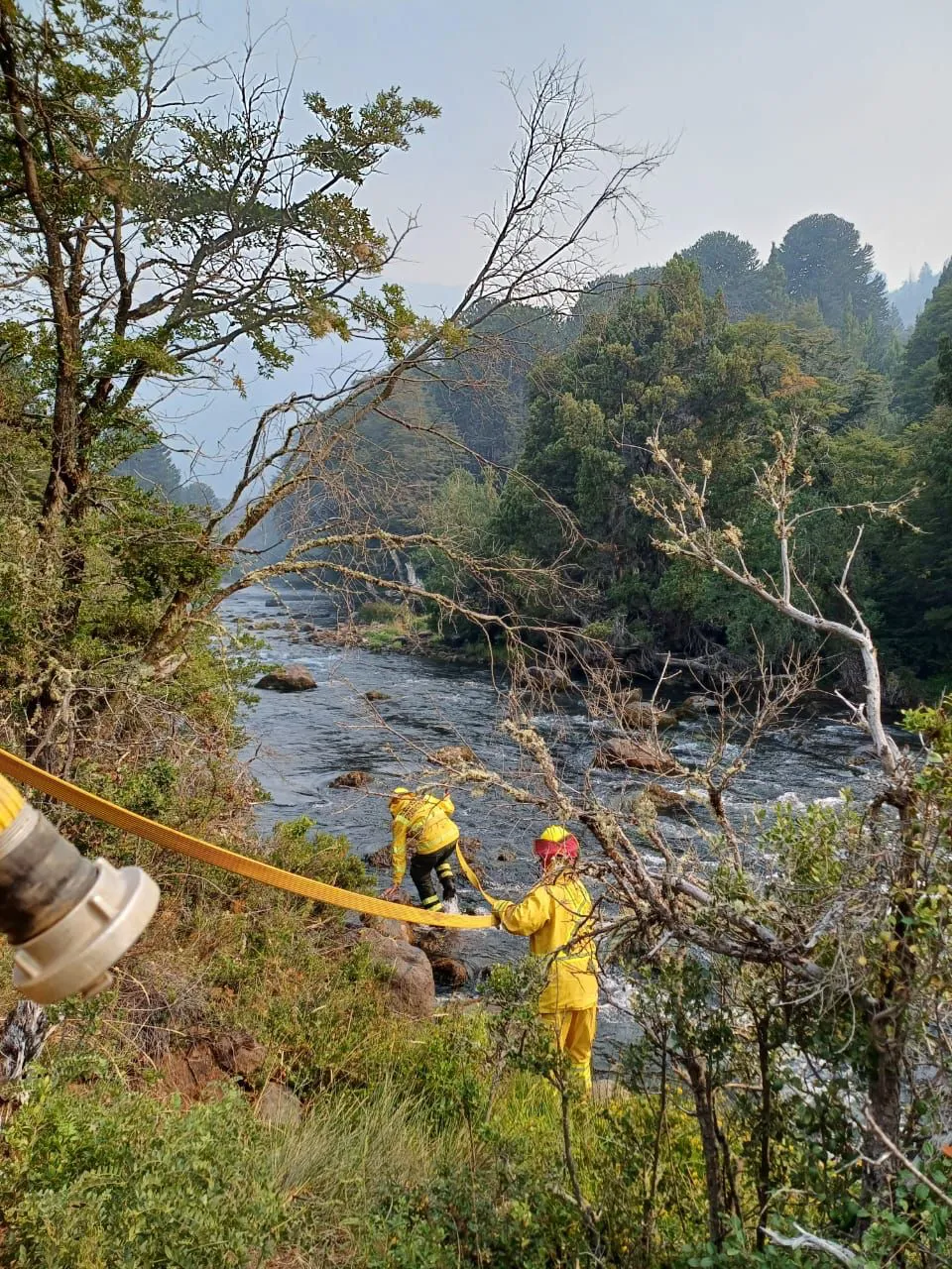 WhatsApp Image 2025-02-10 at 10.35.49 AM