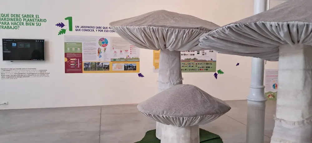 WhatsApp Image 2024-07-05 at 13.16.48