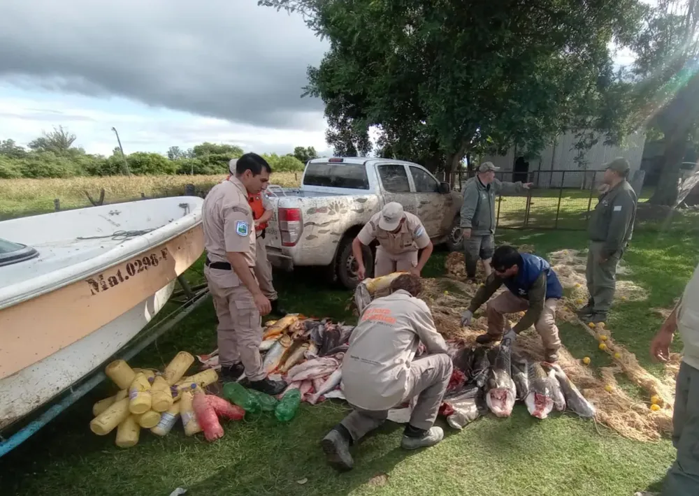 WhatsApp Image 2025-04-16 at 10.36.18 AM