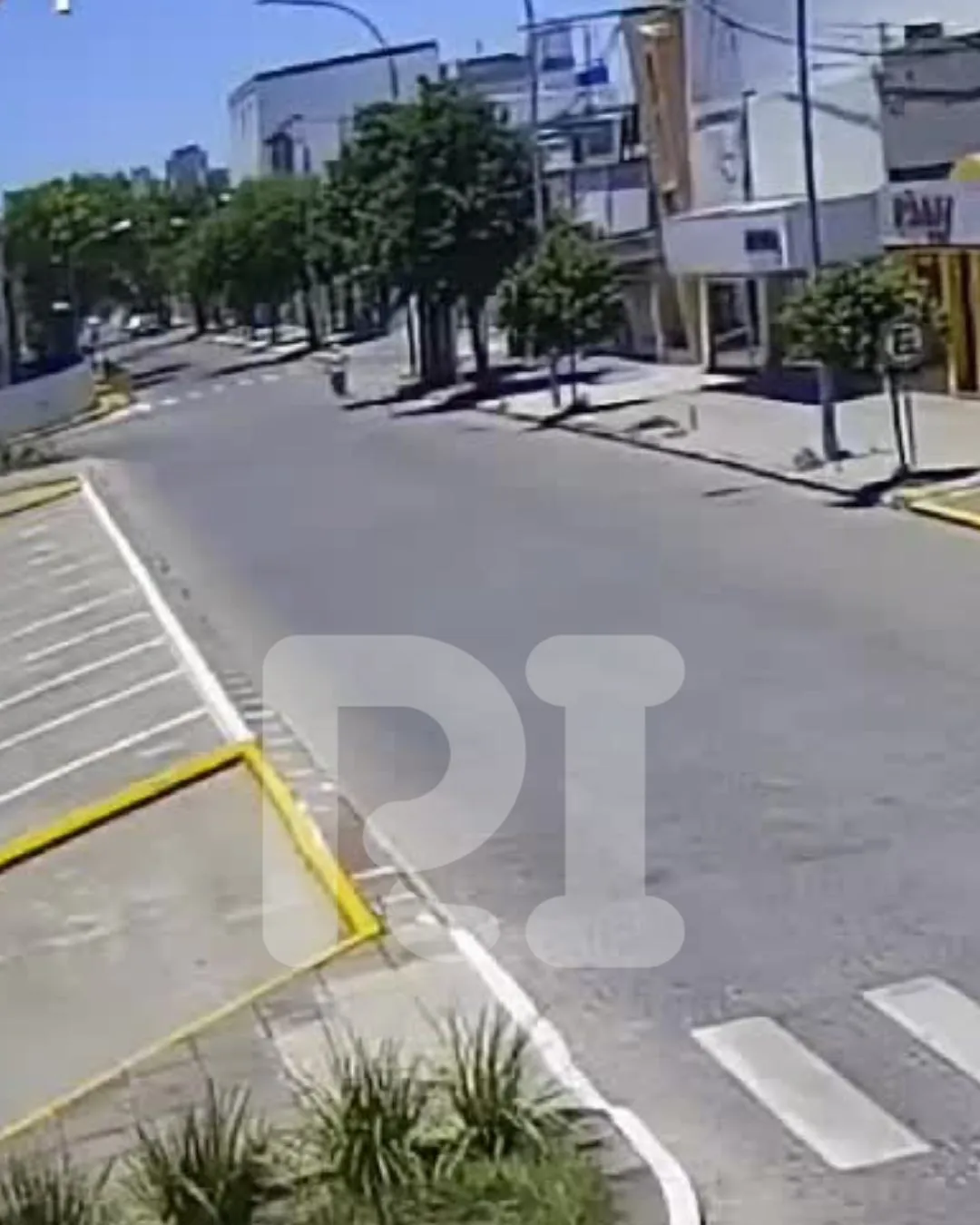 Videos (5)