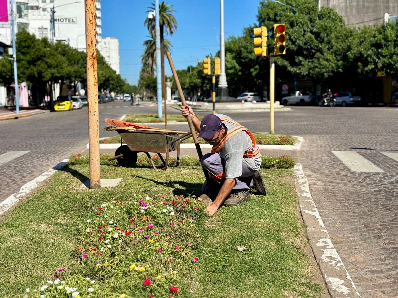 WhatsApp Image 2026-02-20 at 5.16.53 PM