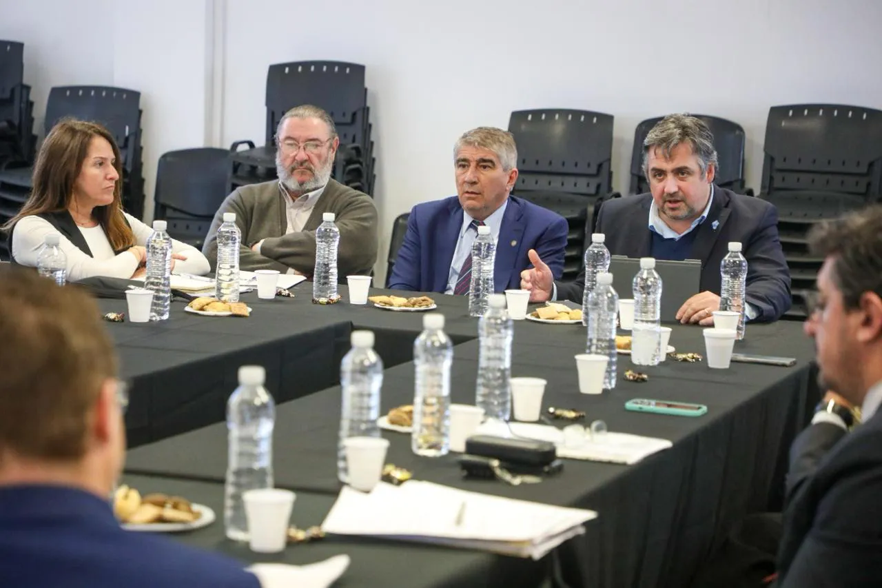 WhatsApp Image 2024-06-29 at 08.42.48