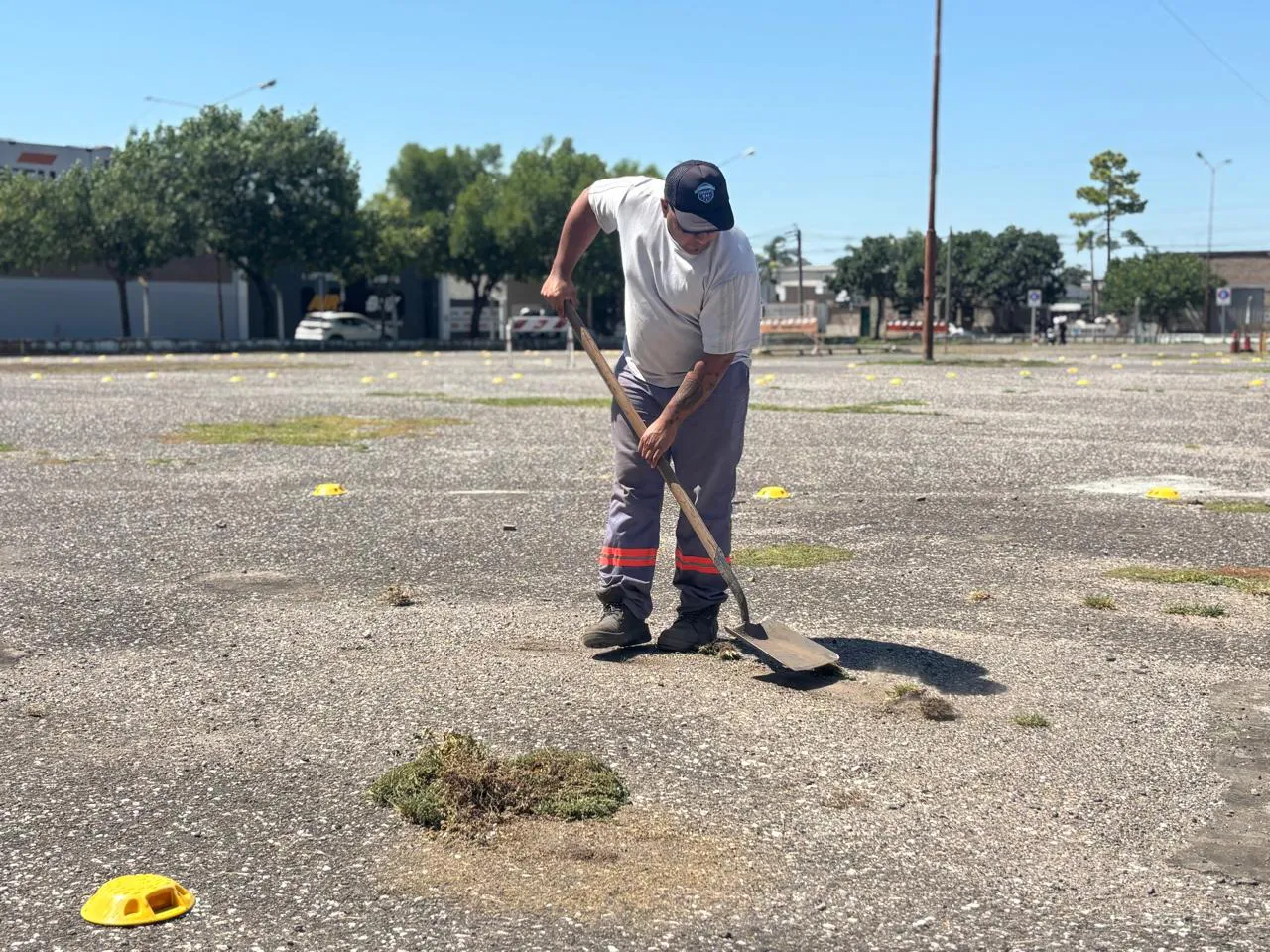 WhatsApp Image 2026-01-13 at 12.44.24 PM