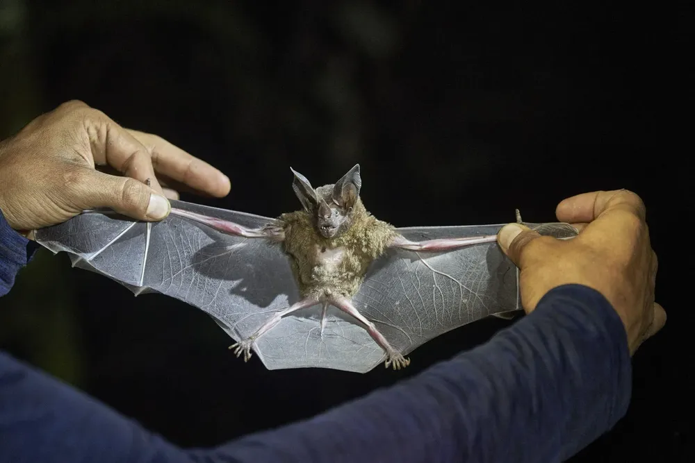 nationalgeographic2798263