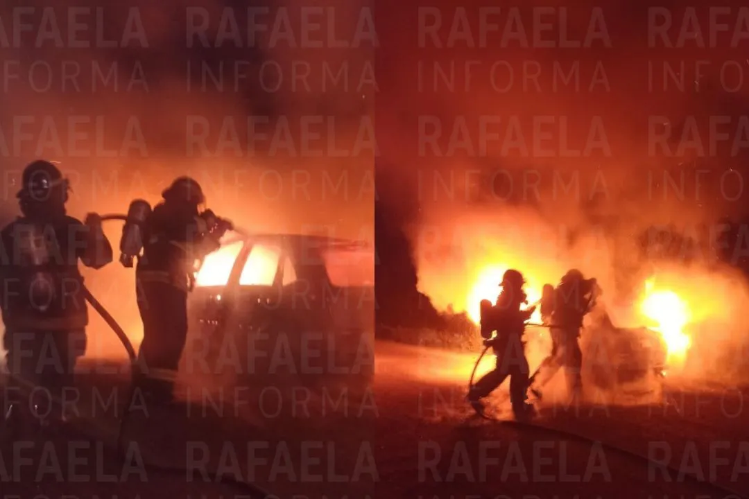 foto para portal