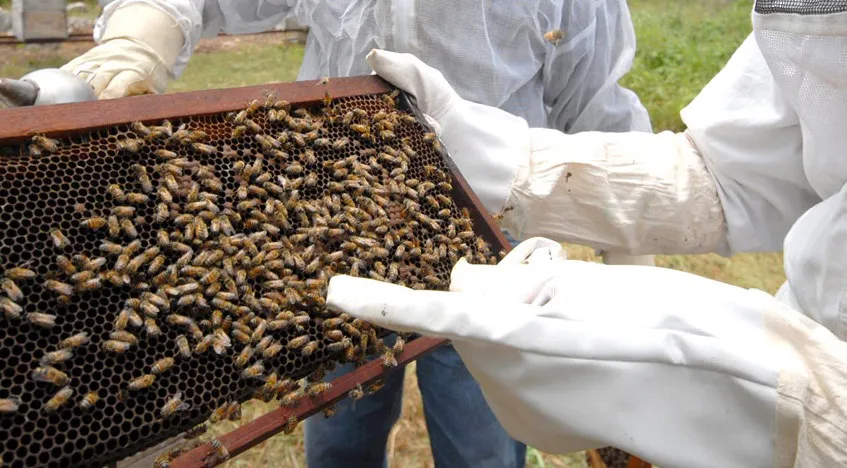 WhatsApp Image 2026-01-27 at 2.29.22 PM