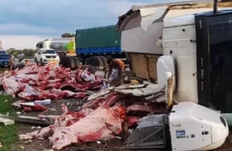 63ee6b35537b5VUELCOCAMIONCONCARNE