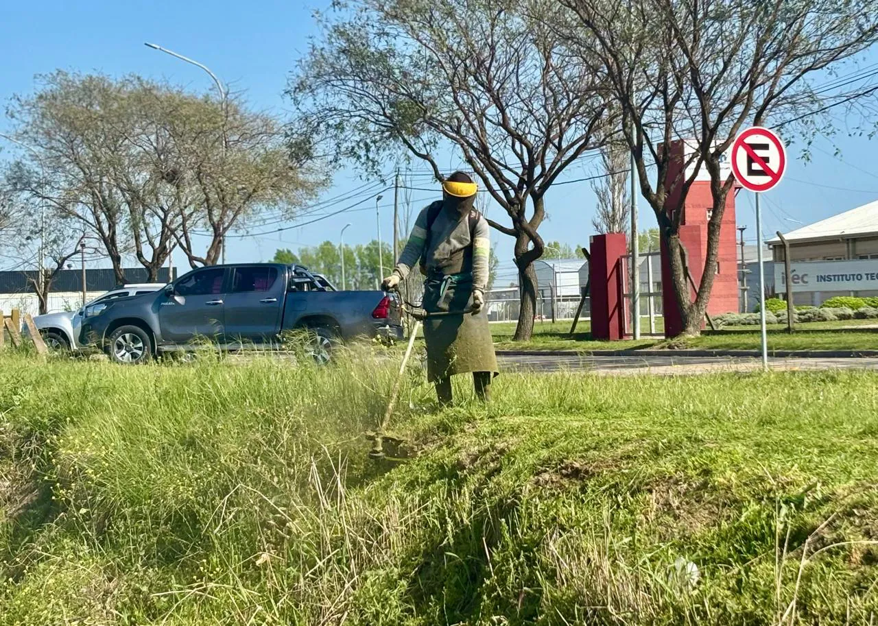 Imagen de WhatsApp 2025-12-11 a las 15.26.42_1335a809