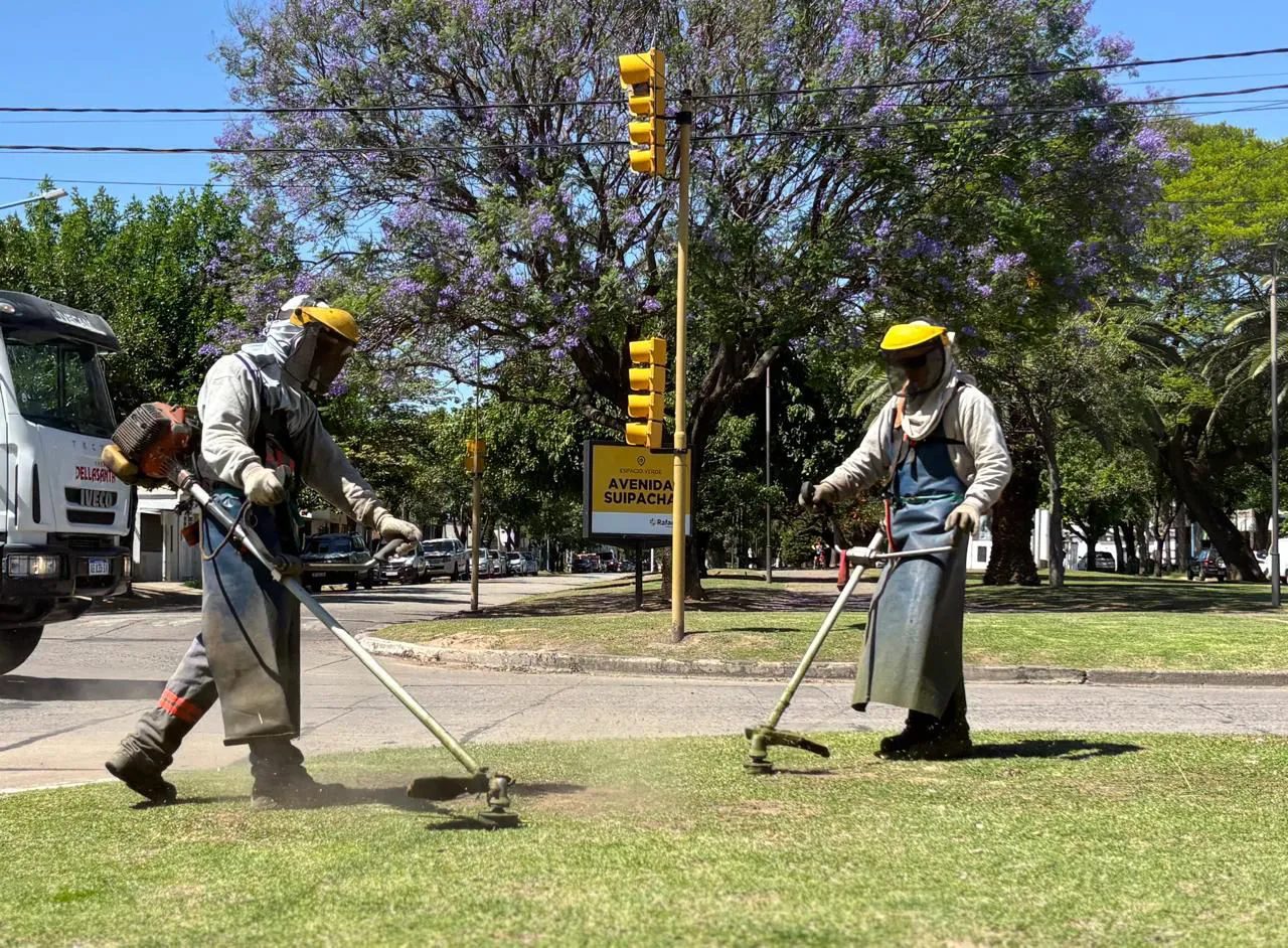 WhatsApp Image 2025-12-29 at 3.19.49 PM