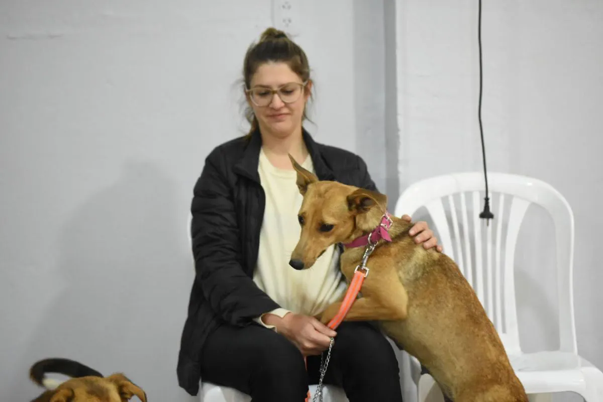 WhatsApp Image 2024-10-13 at 11.55.11