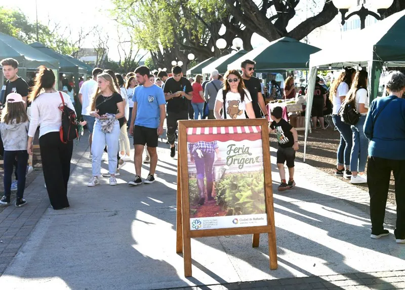 WhatsApp Image 2025-02-19 at 8.26.38 AM (1)