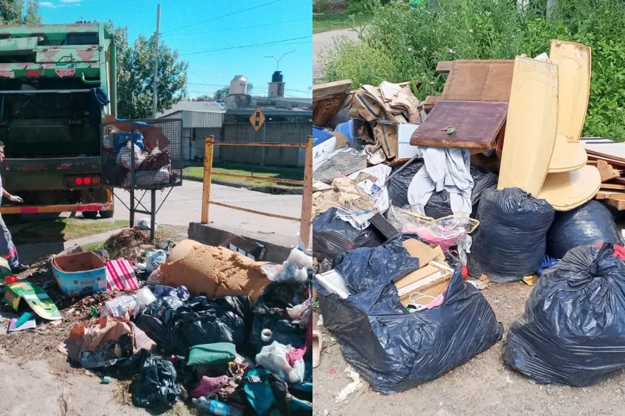 WhatsApp Image 2026-01-09 at 6.12.26 PM