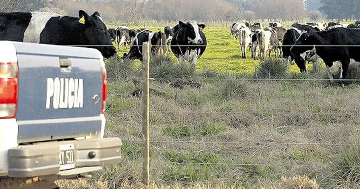 GR5NB7GNLVGXBFANNLOJF5ROGU