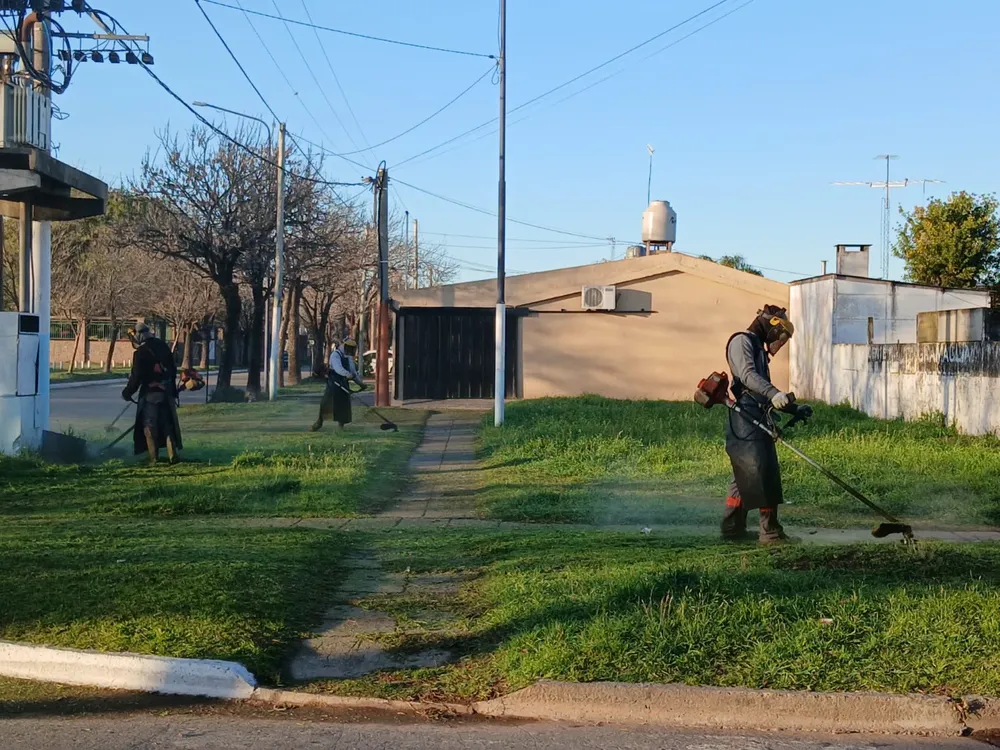 Imagen de WhatsApp 2025-09-01 a las 12.07.26_4e9442ec