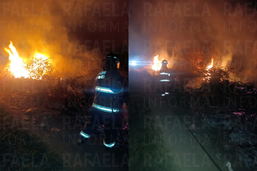 foto para portal (1)