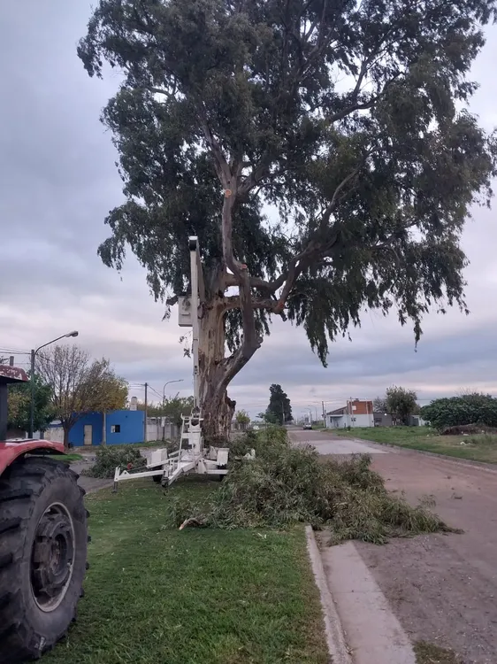 WhatsApp Image 2025-04-28 at 9.10.06 AM