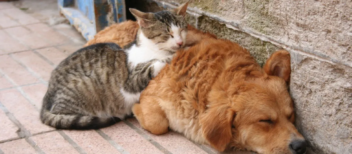 Imagen de WhatsApp 2025-09-02 a las 11.29.02_ad7e4baf