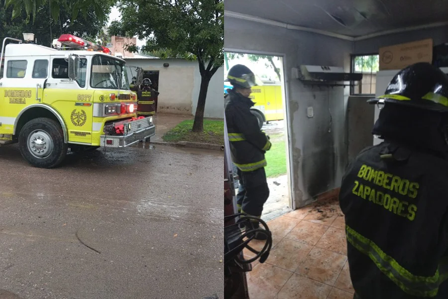 WhatsApp Image 2026-02-19 at 11.58.17 AM