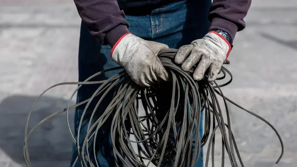 file_20230322121037jpg