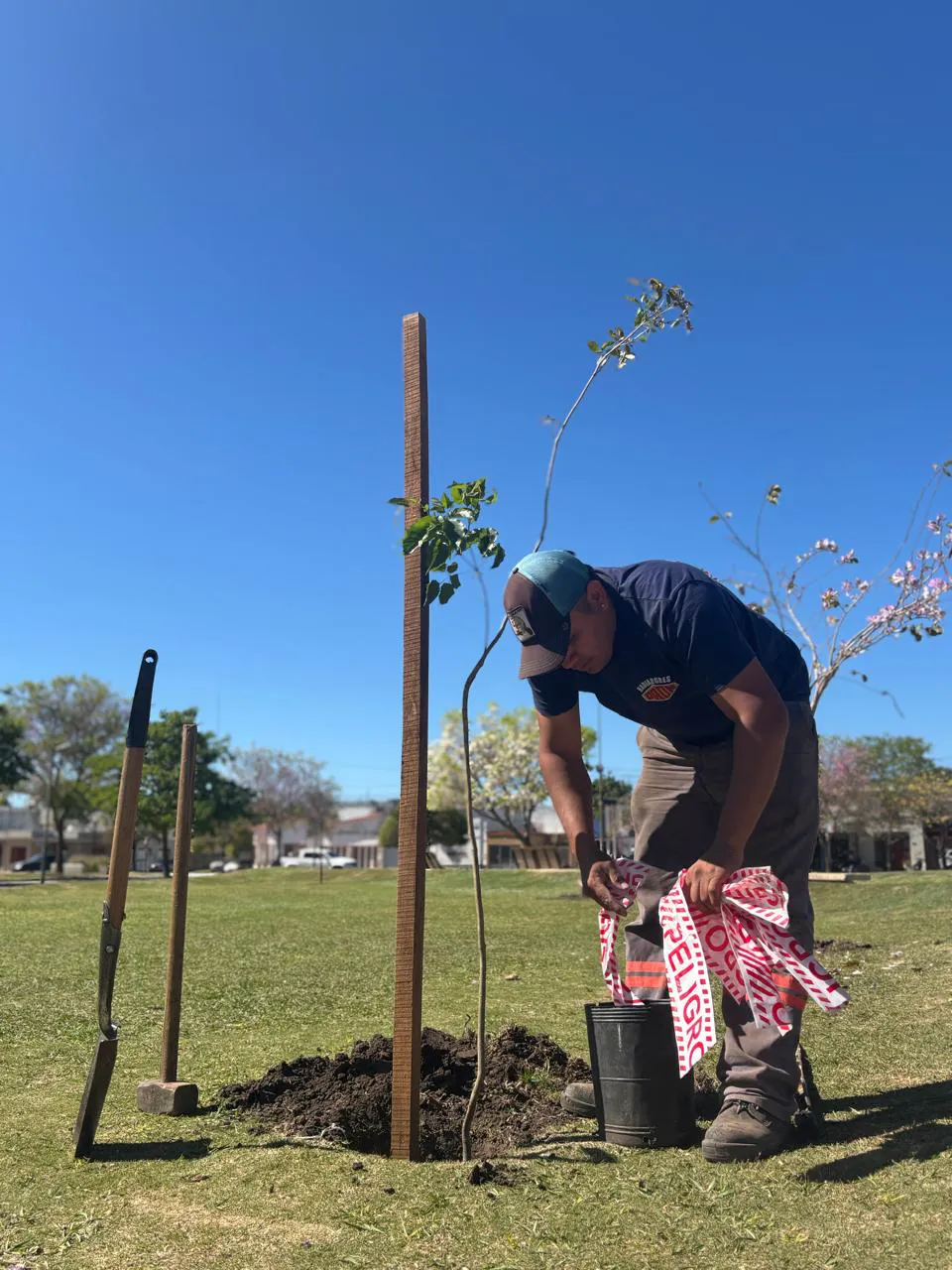 Imagen de WhatsApp 2025-12-03 a las 15.44.22_1ad7bcc9