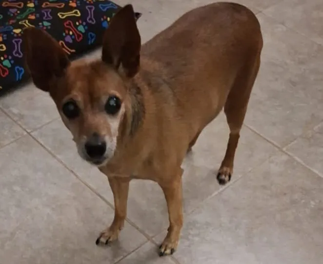 Imagen de WhatsApp 2025-12-08 a las 17.37.53_4431ca7f