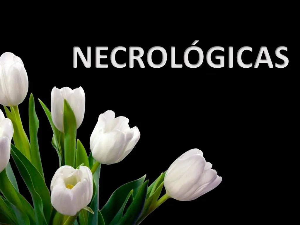 necrologicas88_07-18-2015-1
