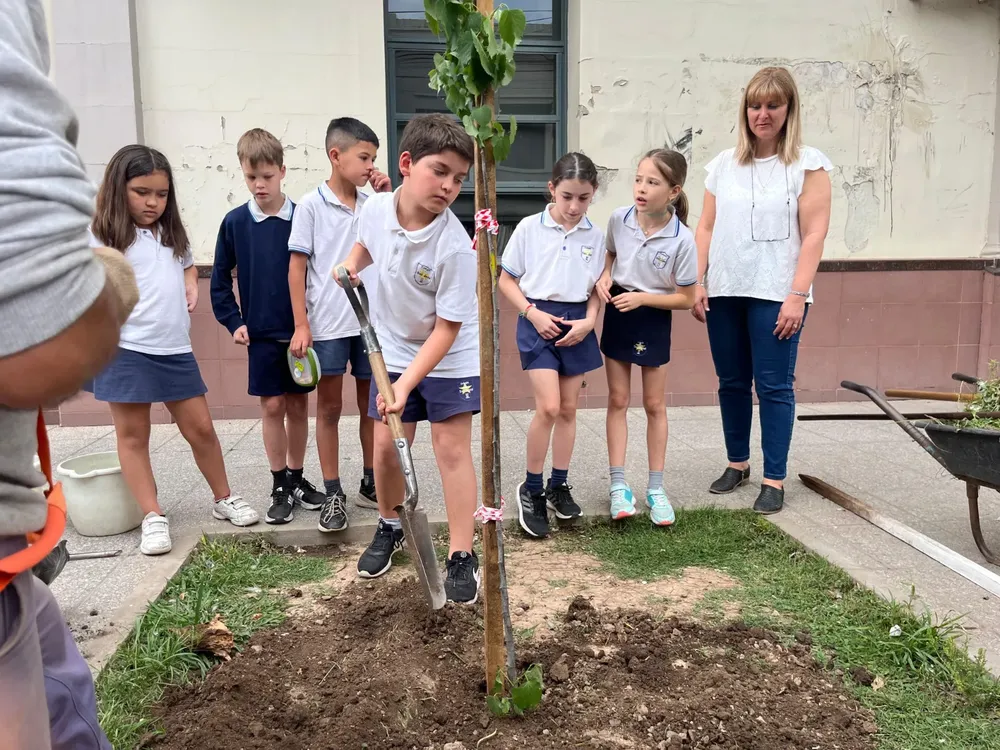 WhatsApp Image 2024-11-01 at 12.42.13