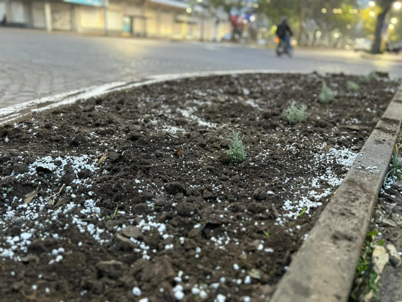 Imagen de WhatsApp 2025-06-06 a las 08.45.21_54d72ba8