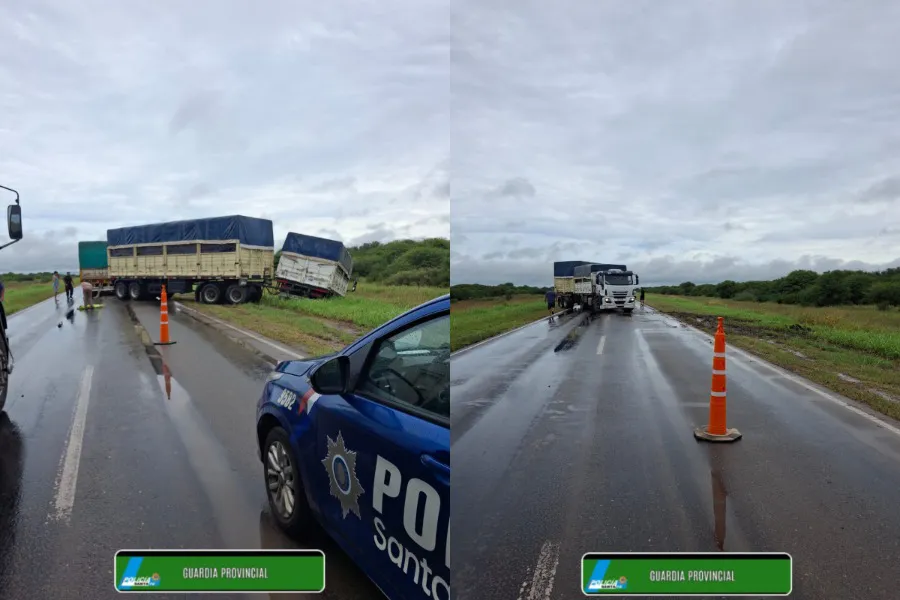 WhatsApp Image 2026-01-16 at 1.44.43 PM