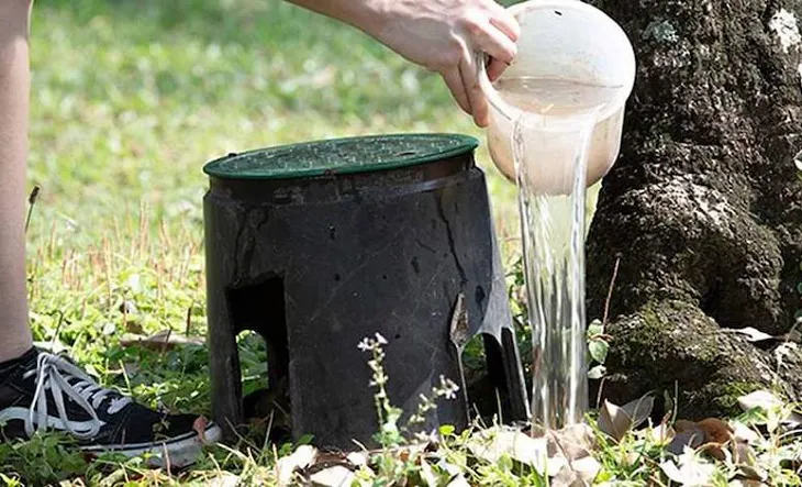 WhatsApp Image 2025-01-13 at 10.00.01 AM