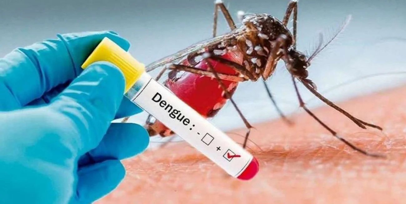 dengue
