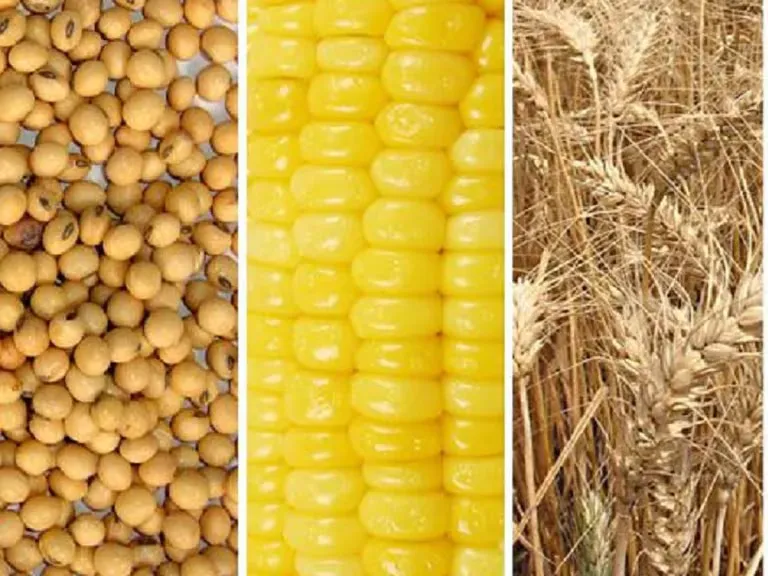 WhatsApp Image 2024-08-05 at 19.59.36