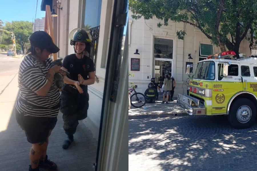 WhatsApp Image 2026-01-19 at 4.28.21 PM