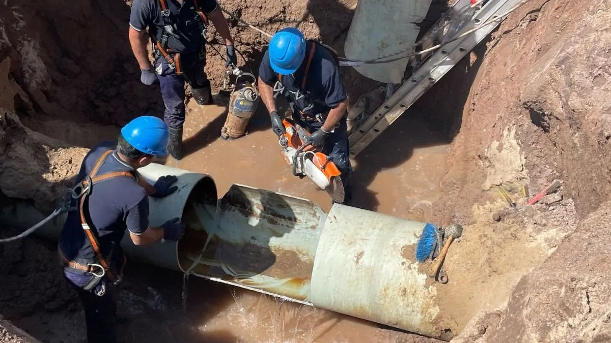 wmremove-transformed