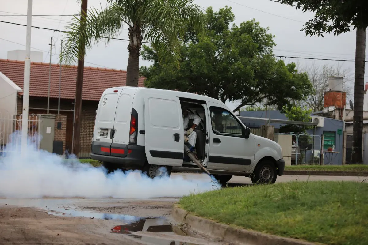 dengue