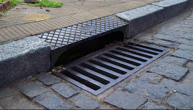 WhatsApp Image 2025-12-26 at 12.21.00 PM (1)