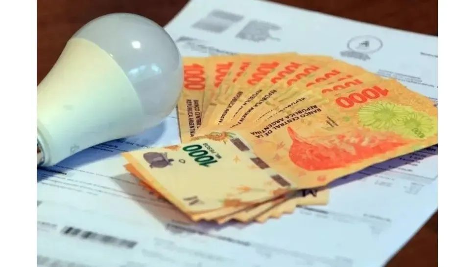 WhatsApp Image 2024-06-01 at 18.48.36