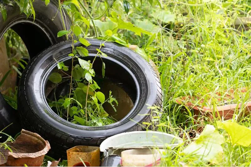 WhatsApp Image 2025-04-15 at 9.35.16 AM